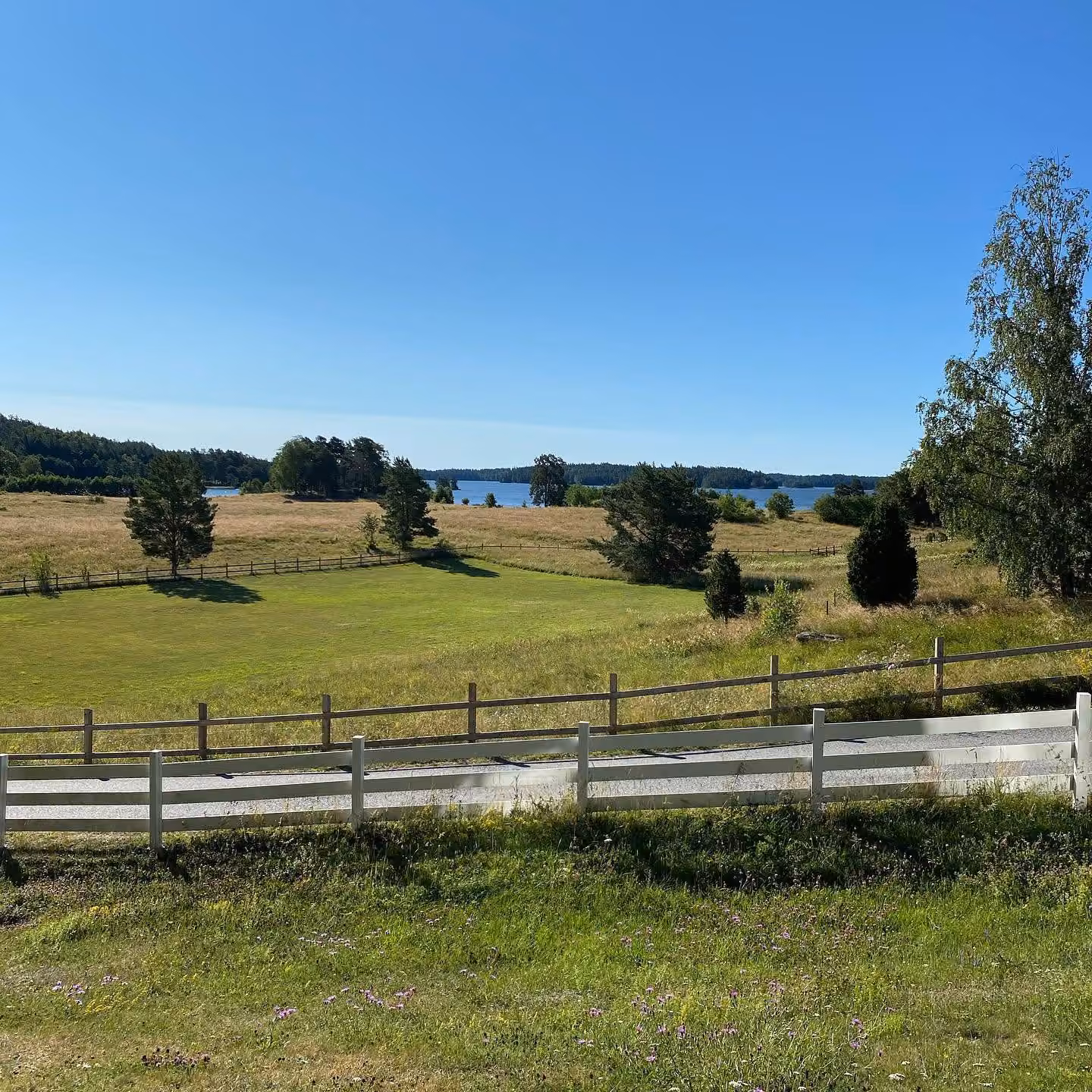 Ängen utanför husen med ett vitt staket i förgrunden, betesmark som sluttar ner mot Båven och skogen på andra sidan sjön.