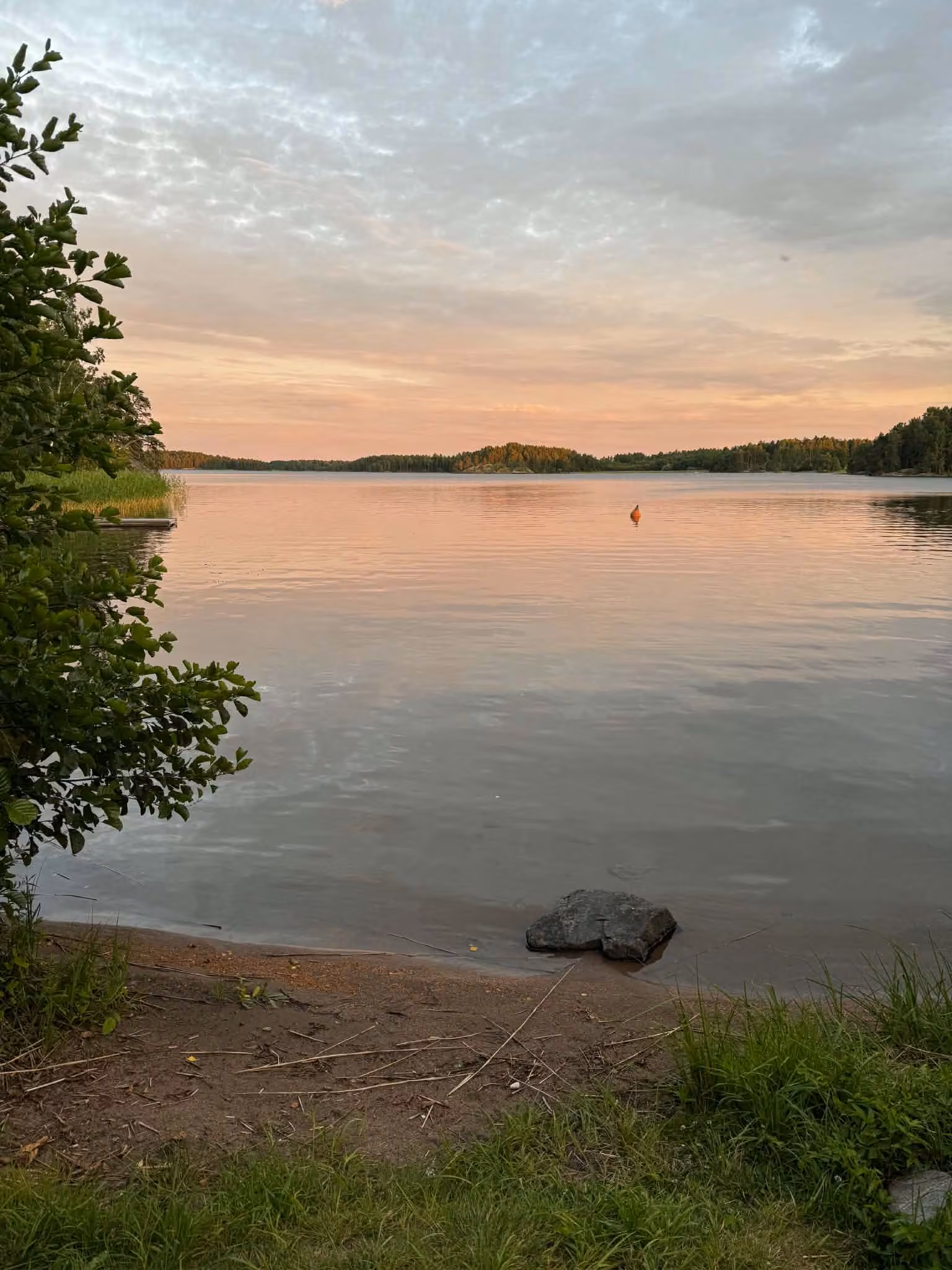 Badplatsen en kväll. Sand och gräs ner till stilla vatten, en sten i vattenbrynet och rosa himmel över skogen på andra sidan.
