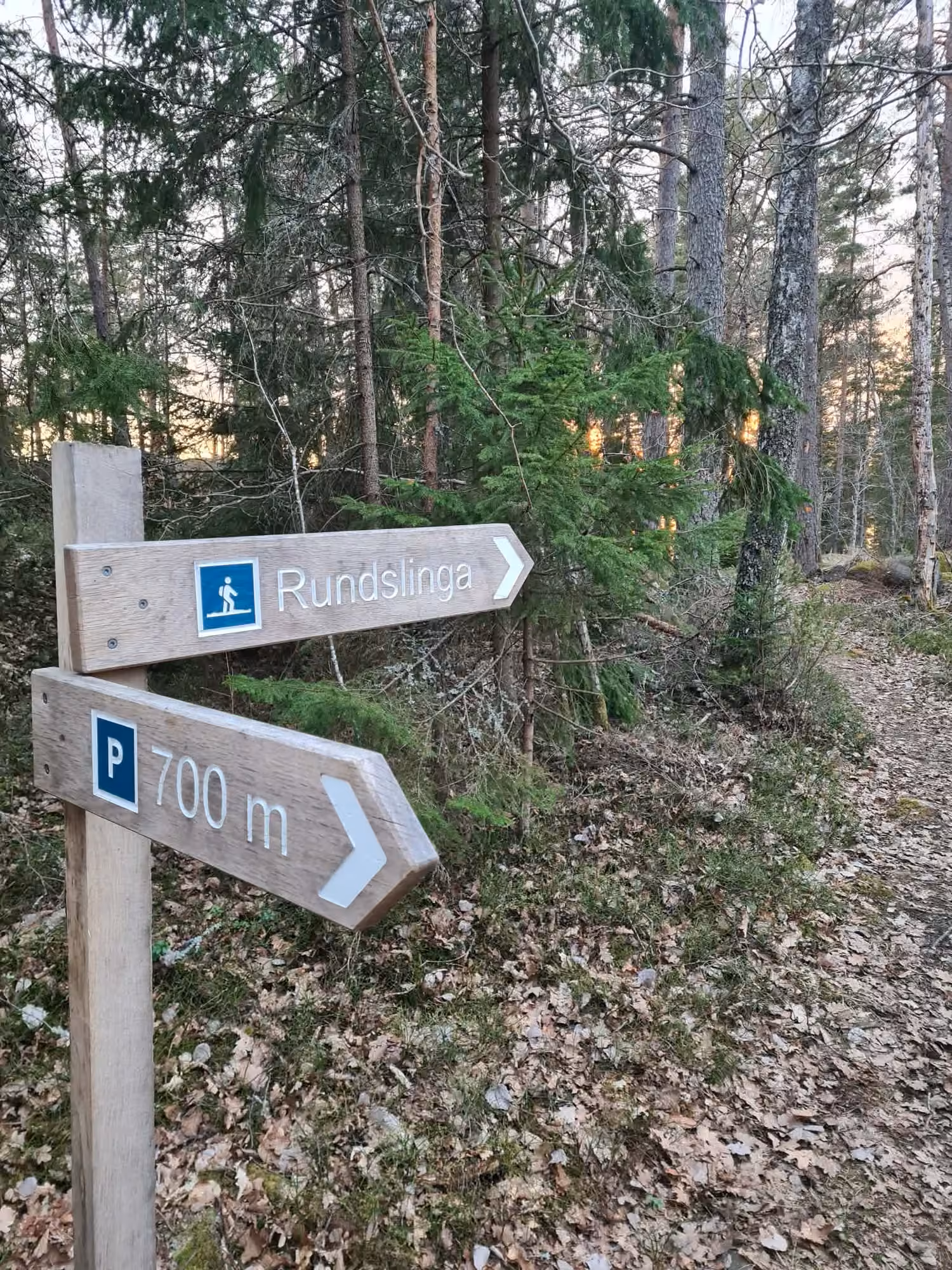 En vägvisare av trä i skogen. Den övre skylten pekar mot en rundslinga, den nedre mot parkering 700 meter bort.